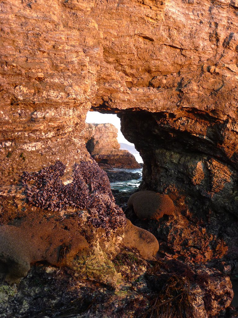 2014-01-17 PointReyesCamping 052